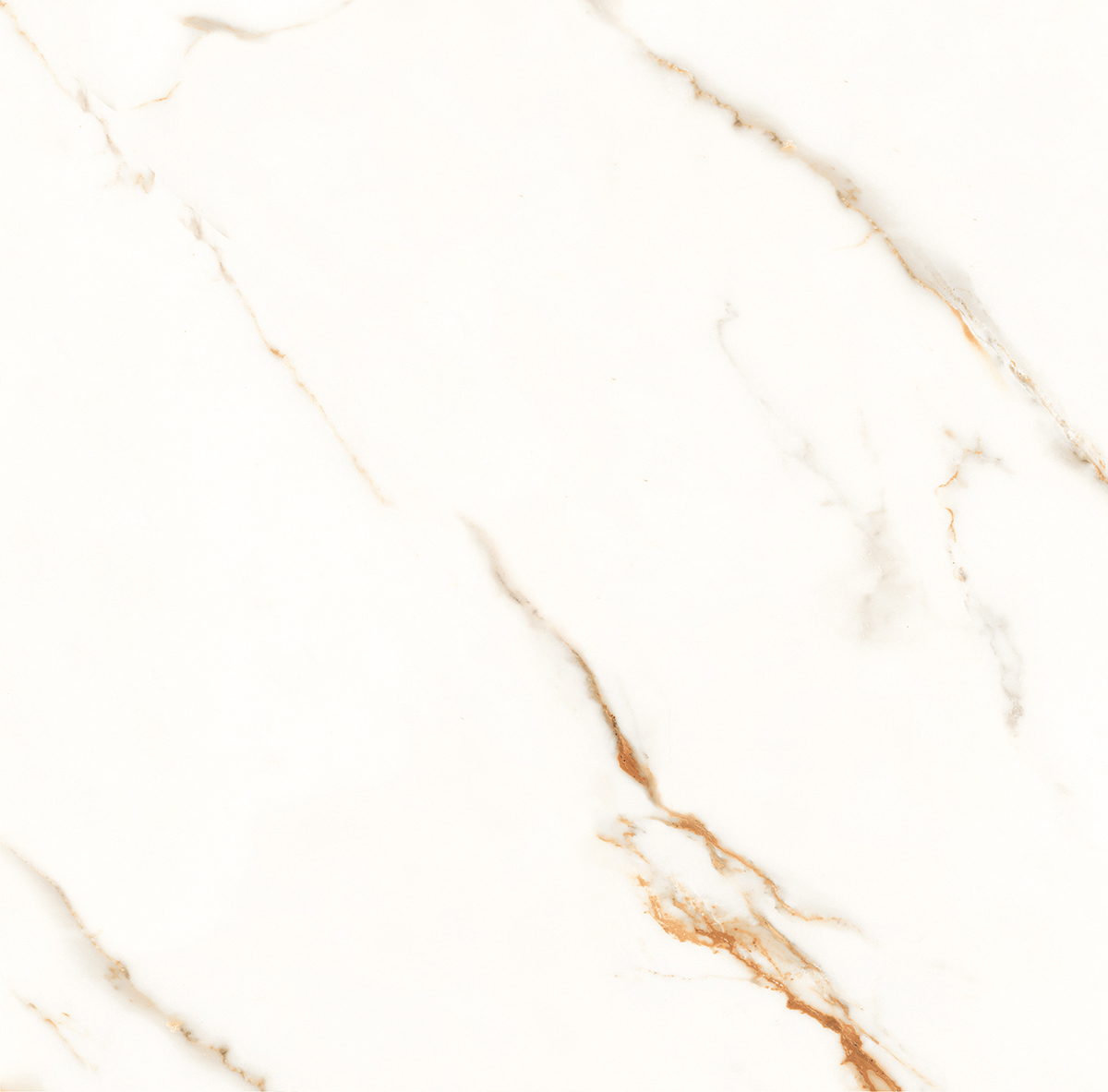 Venato Calacatta Gold белый сатинированный 60х60 Laparet