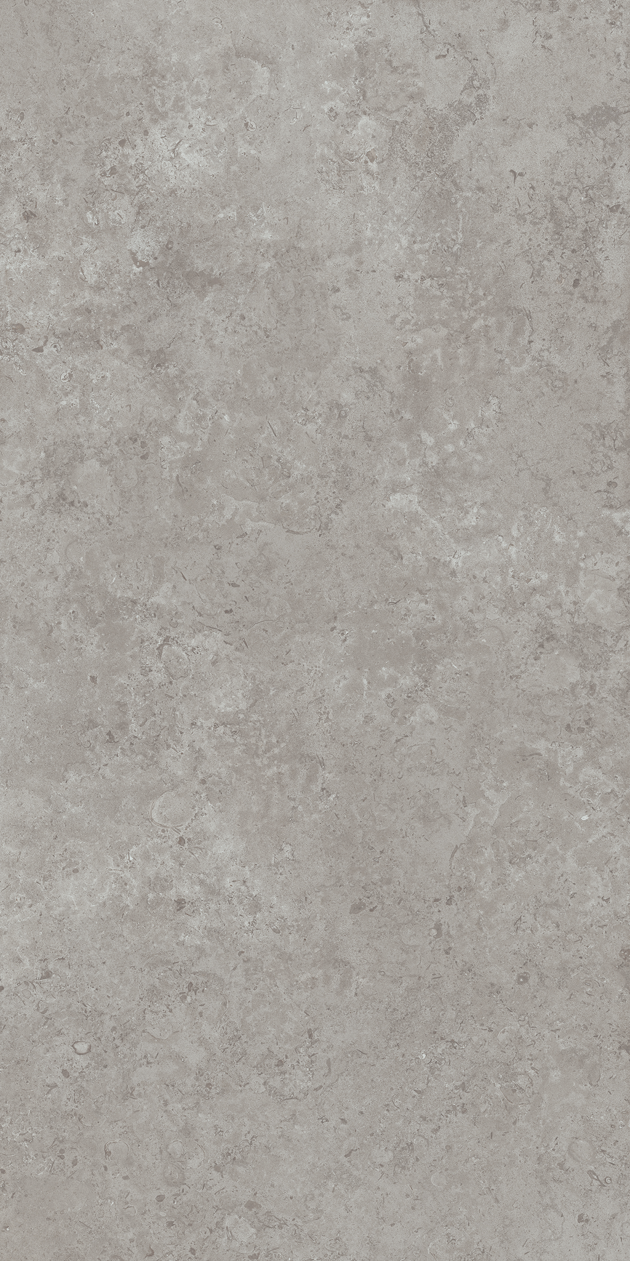 DD590600R Про Лаймстоун АТ серый натуральный обрезной R10 119,5х238,5 Kerama Marazzi