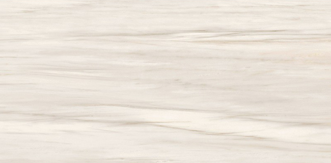 GCBO01S Boutique HBO1 ZEBRINO SHINE 60x120 Del Conca