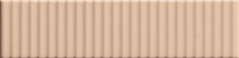 4101165 Biscuit Strip Powder 5x20 41ZERO42