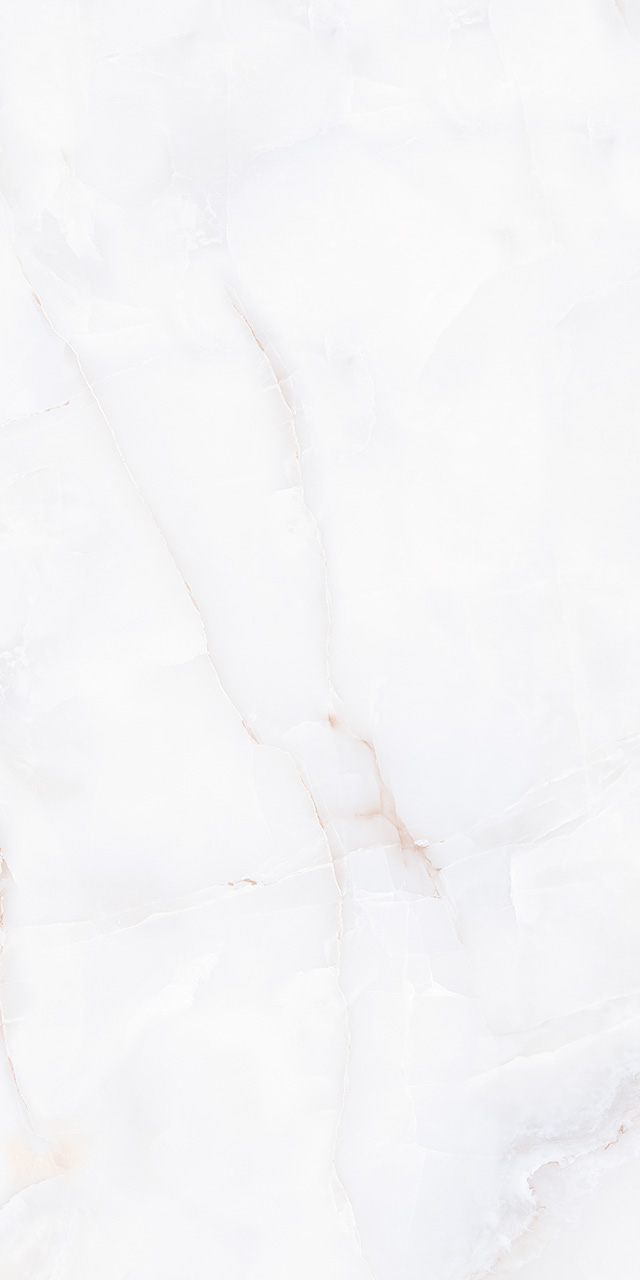 ZA-D12607 Glazed PR 1200x600x9 Vizavi фото 2