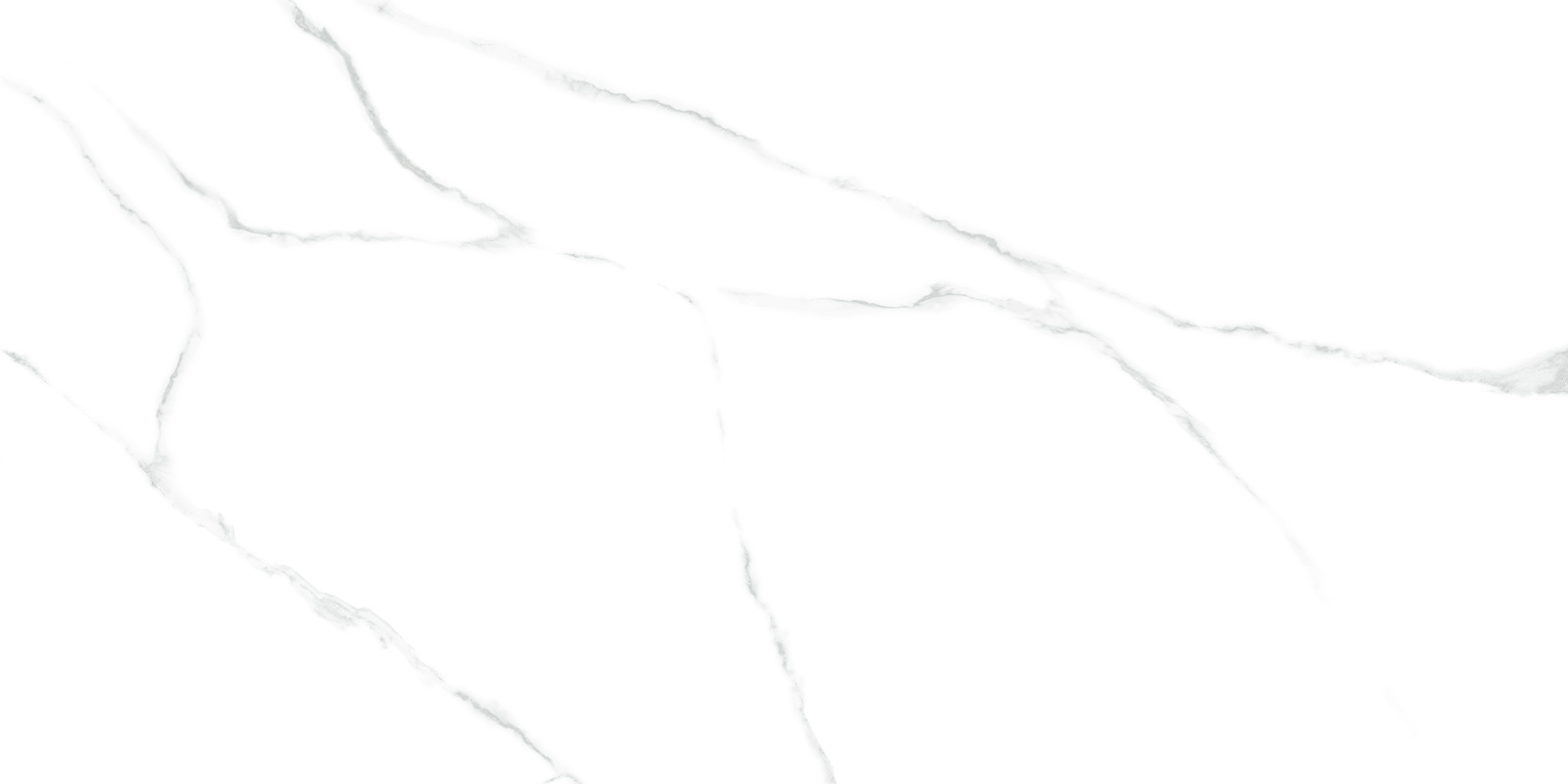 60120AMR00P Atlantic Marble 60x120 LCM
