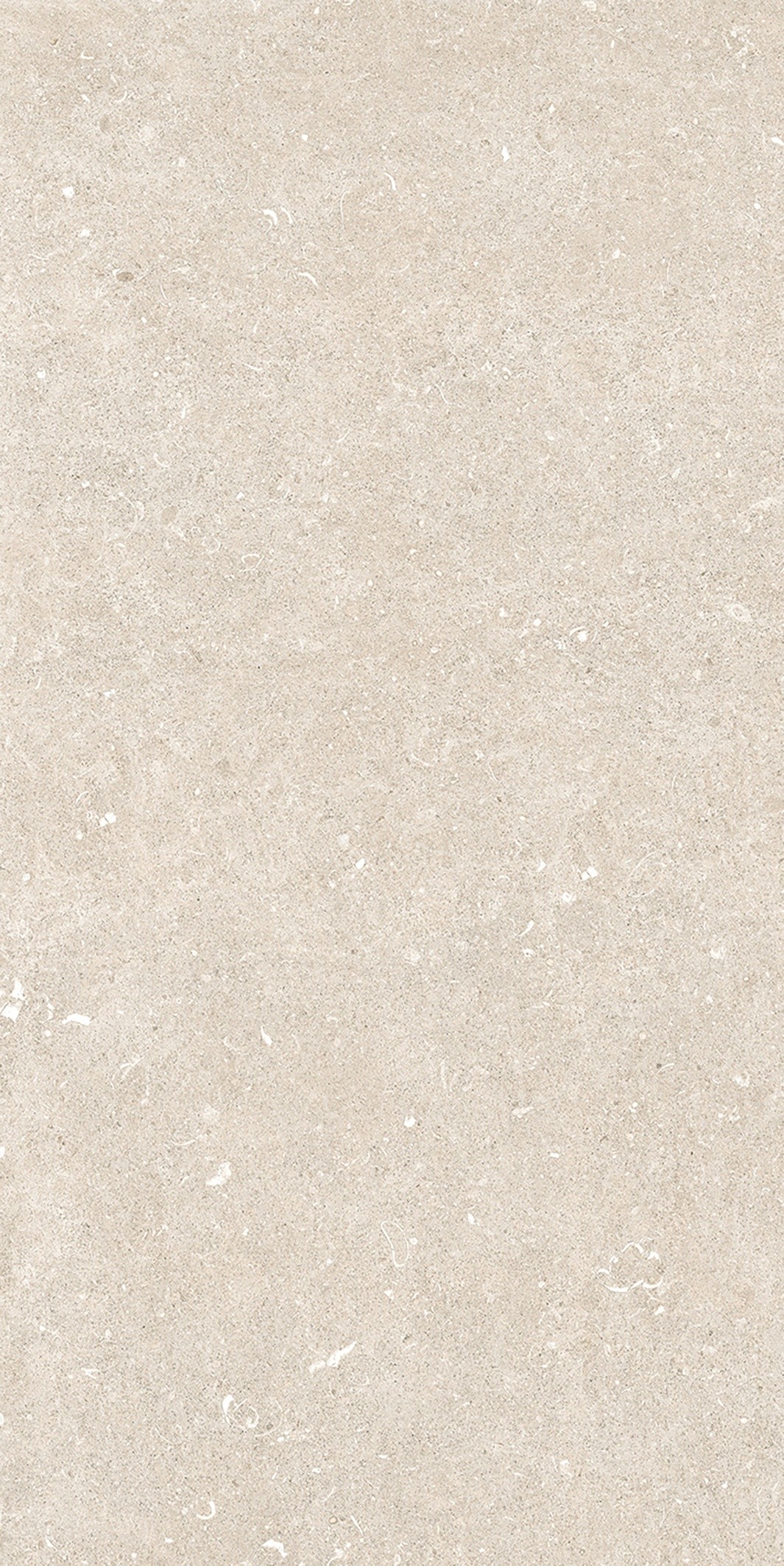 785574 Rinascenza Arena Bianco Antico Matte 6mm 60x120 Casa Dolce Casa фото 3