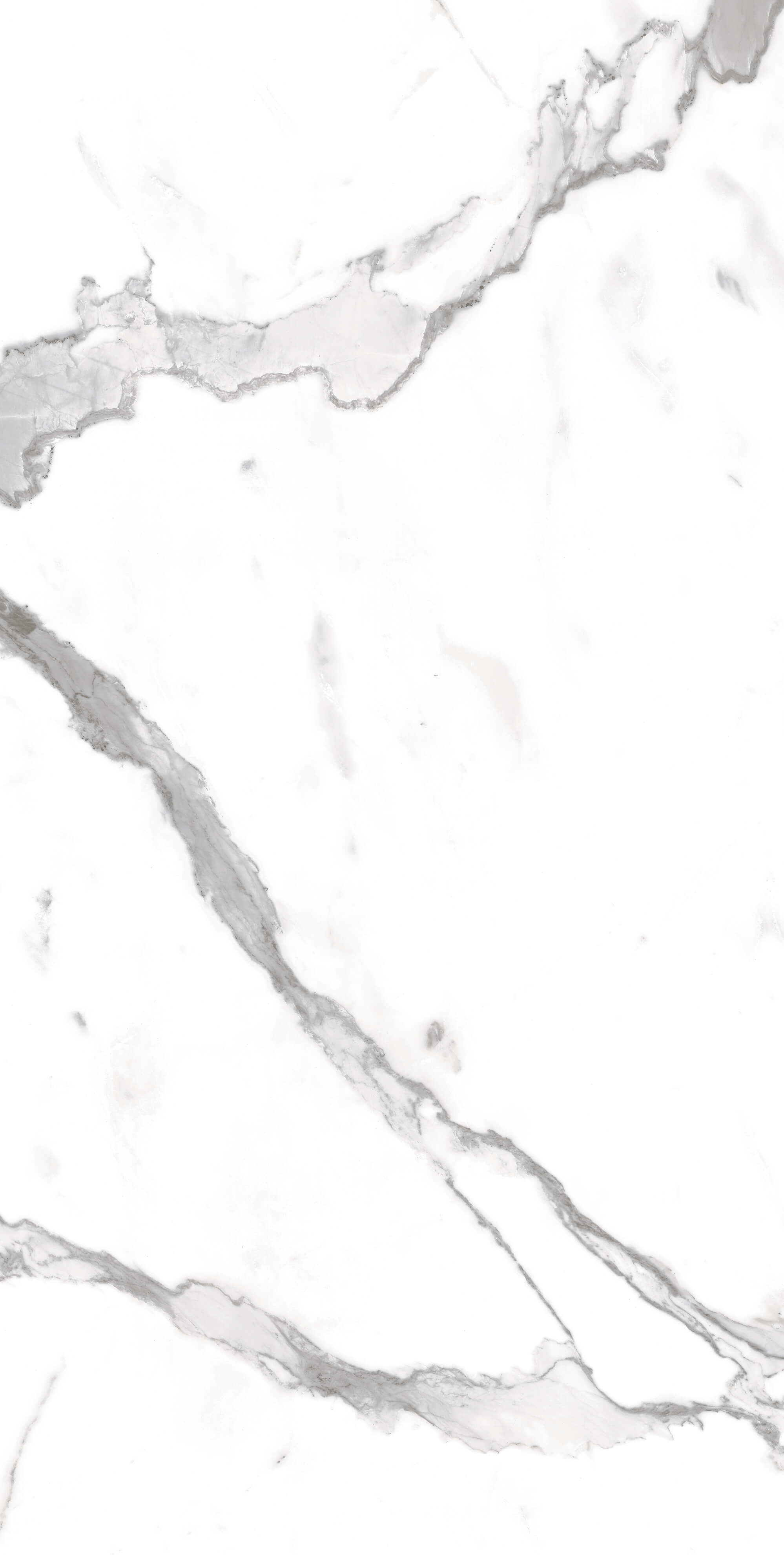 Marble Alexa Satuario 120x60 Artcer