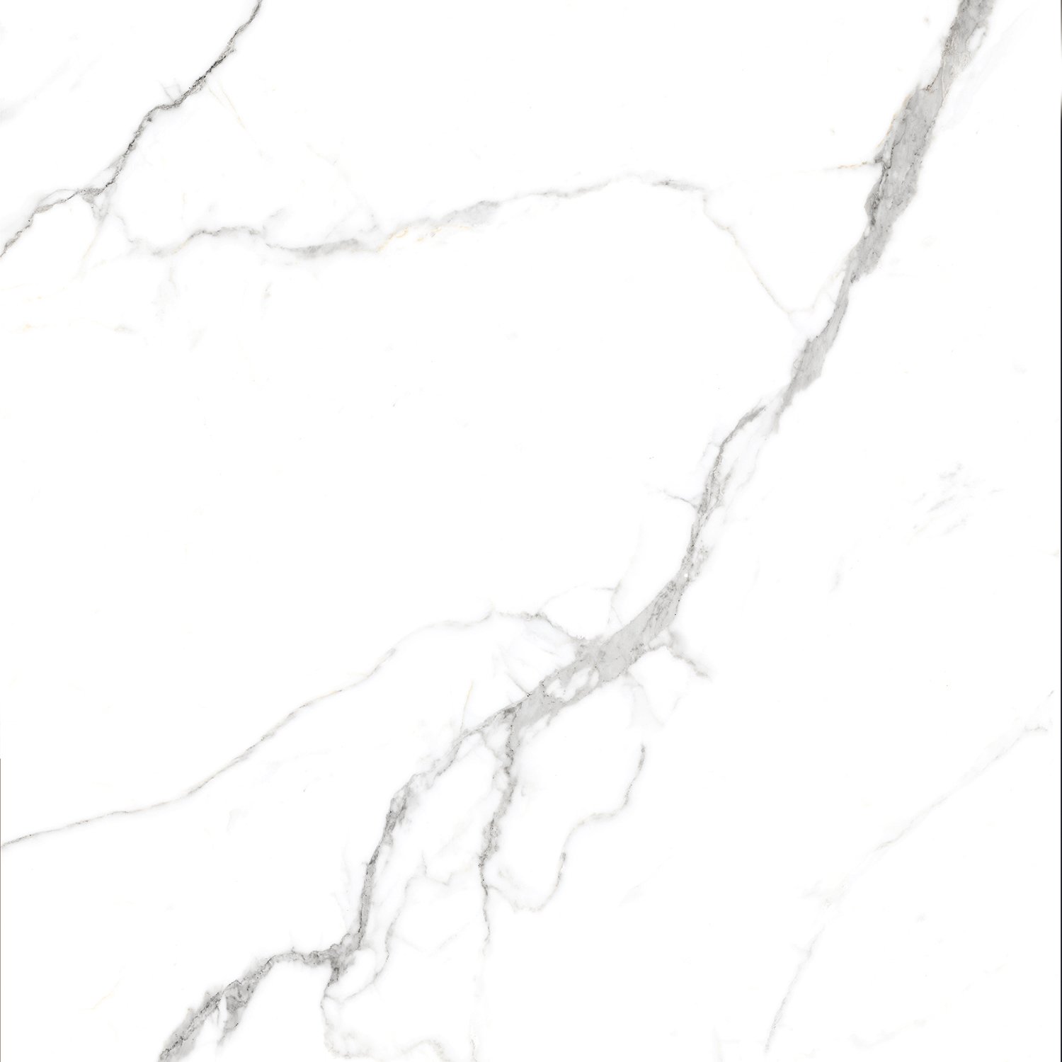 Сlassic Statuario PGVT 60x60 Casati Ceramica