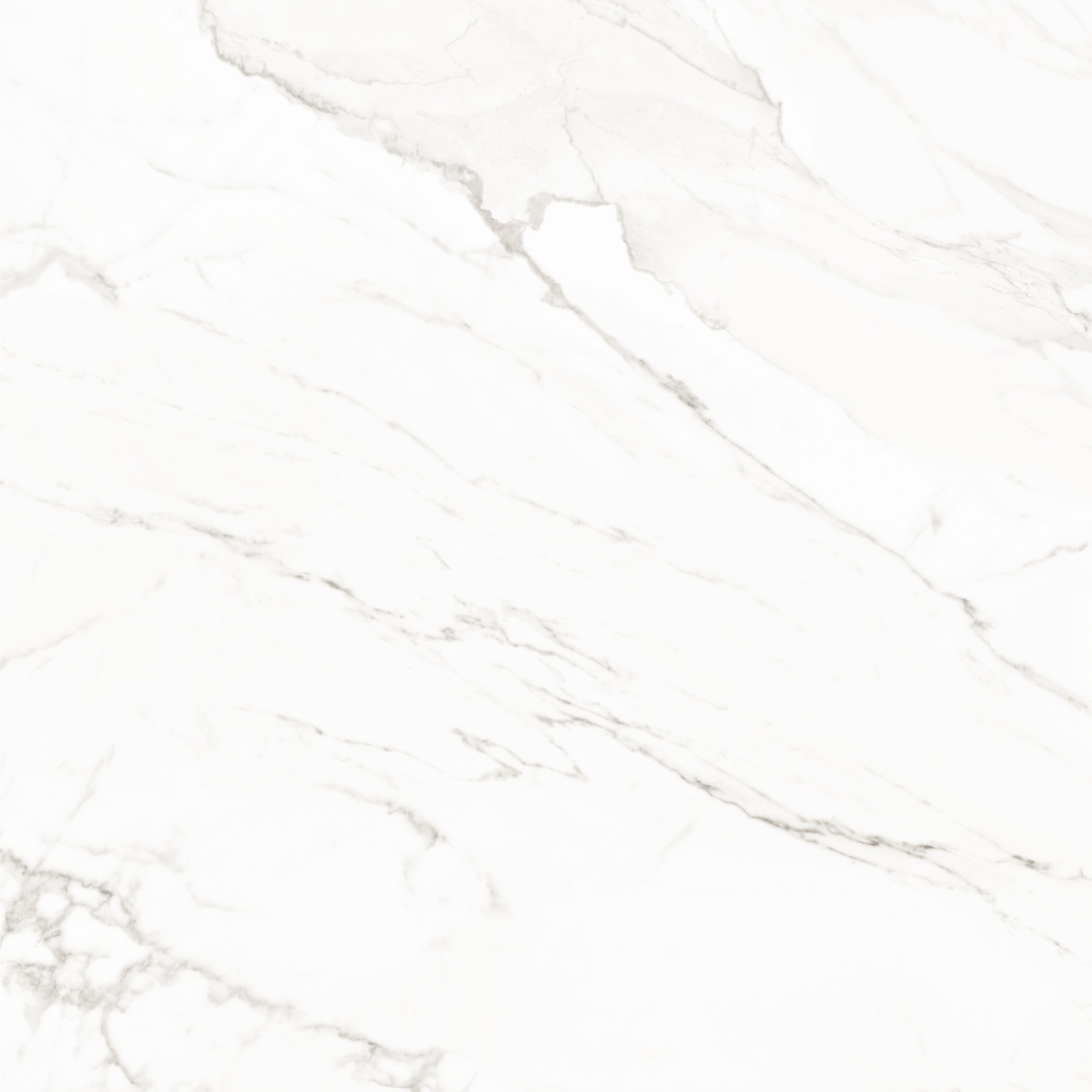 8080TRL00M Trend Line Calacatta матовый 800x800 LCM фото 5