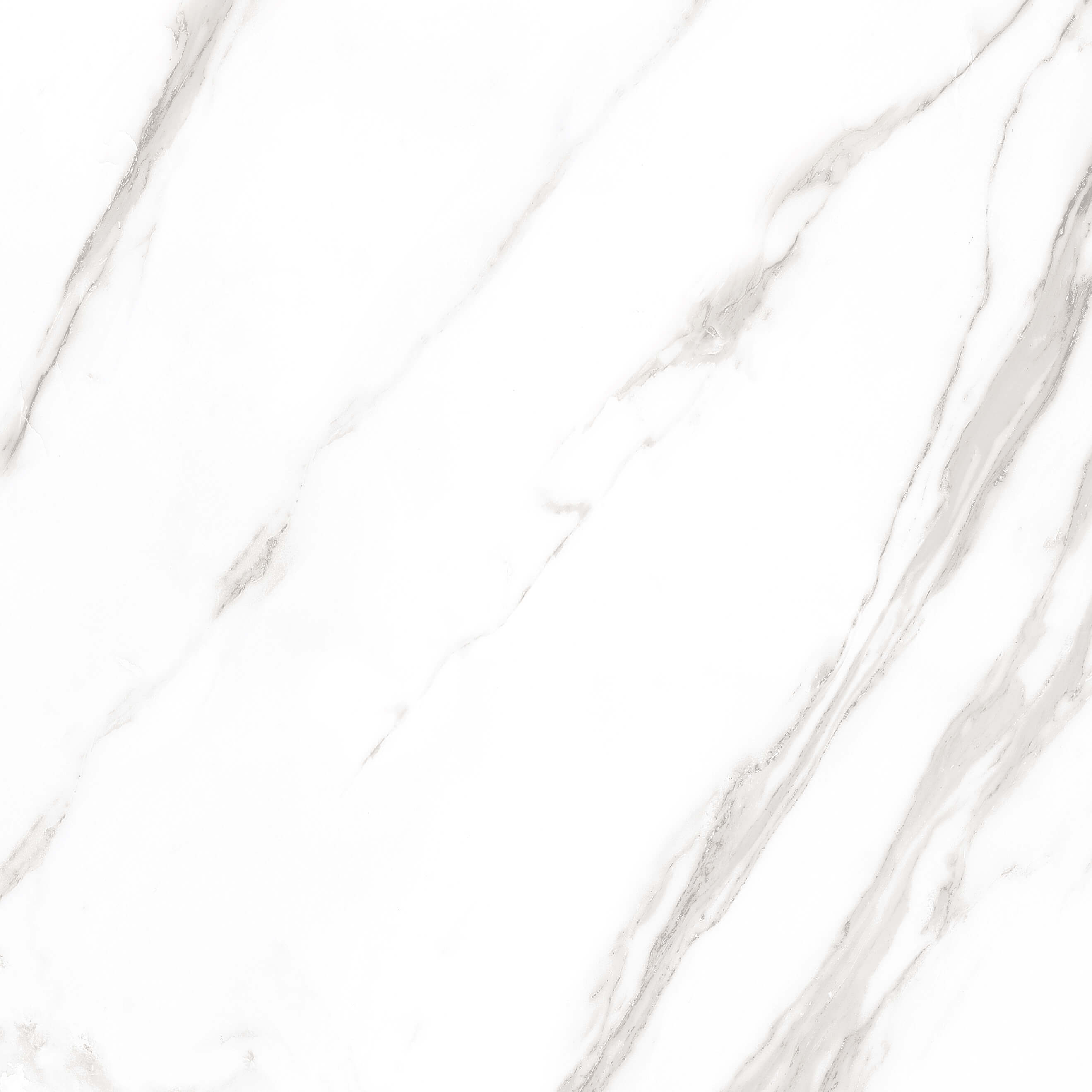 Marble Royal White Sugar 60x60 Artcer