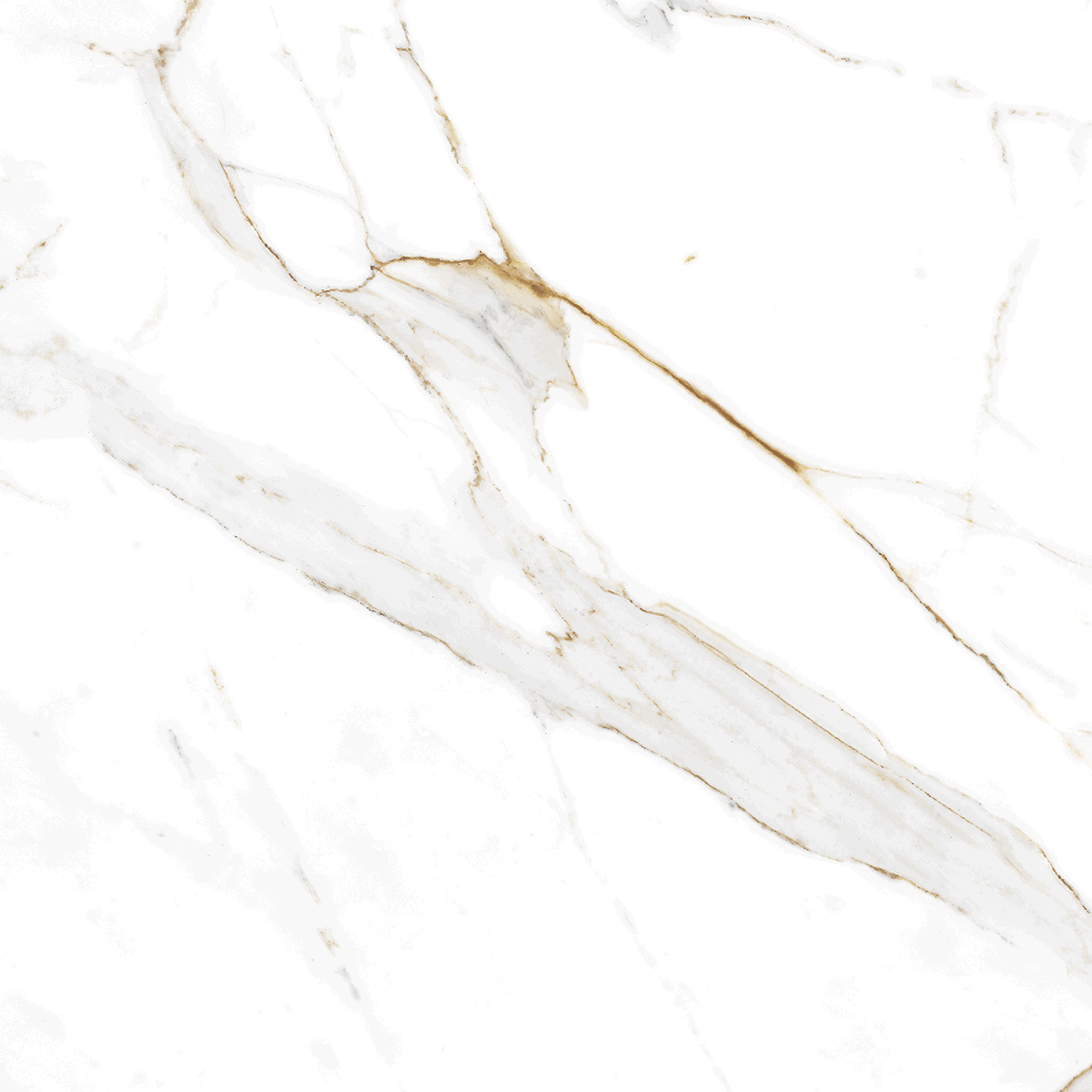 AB1002G Regal Carara gloss 600x600 Absolut Gres