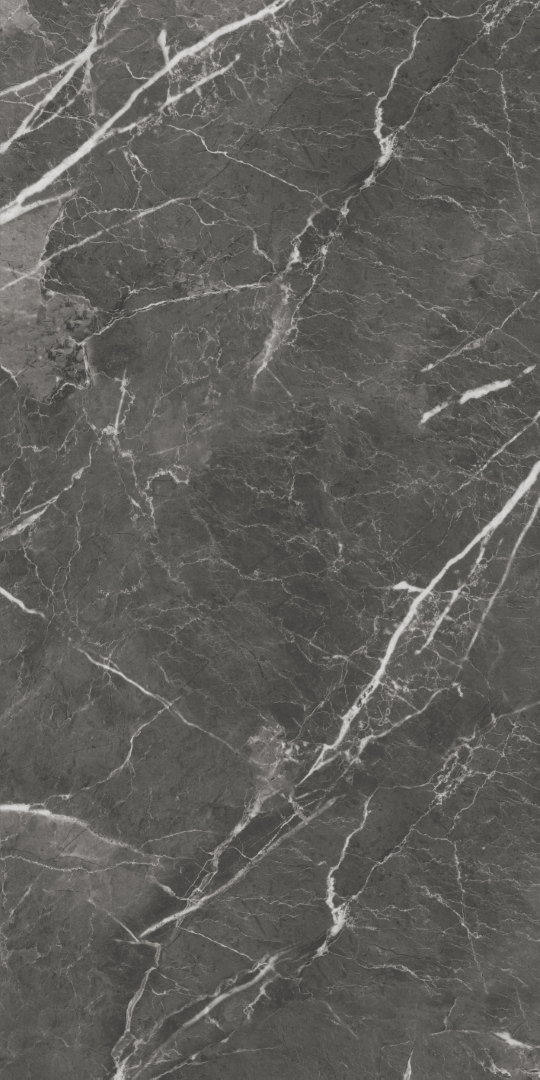GT1206019809MHRR Oscar Темно-серый матовый 60x120 Global Tile