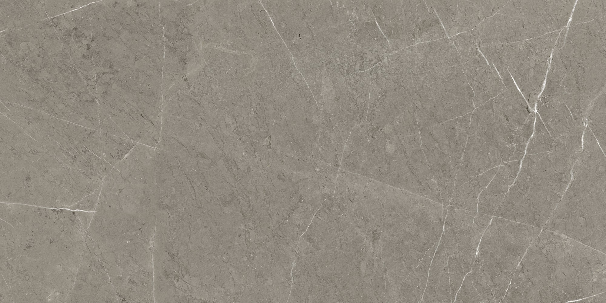 K-2202/LR Skala Grey 600x1200x10 Kerranova
