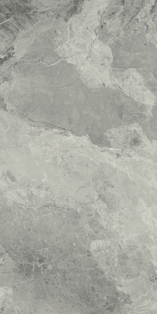 610010001196 Charme Extra Silver Nat Ret 60x120 Italon