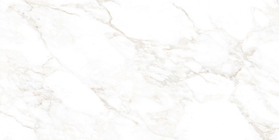 NTT99526M Marble Extra Endless 60x120 NT Ceramic