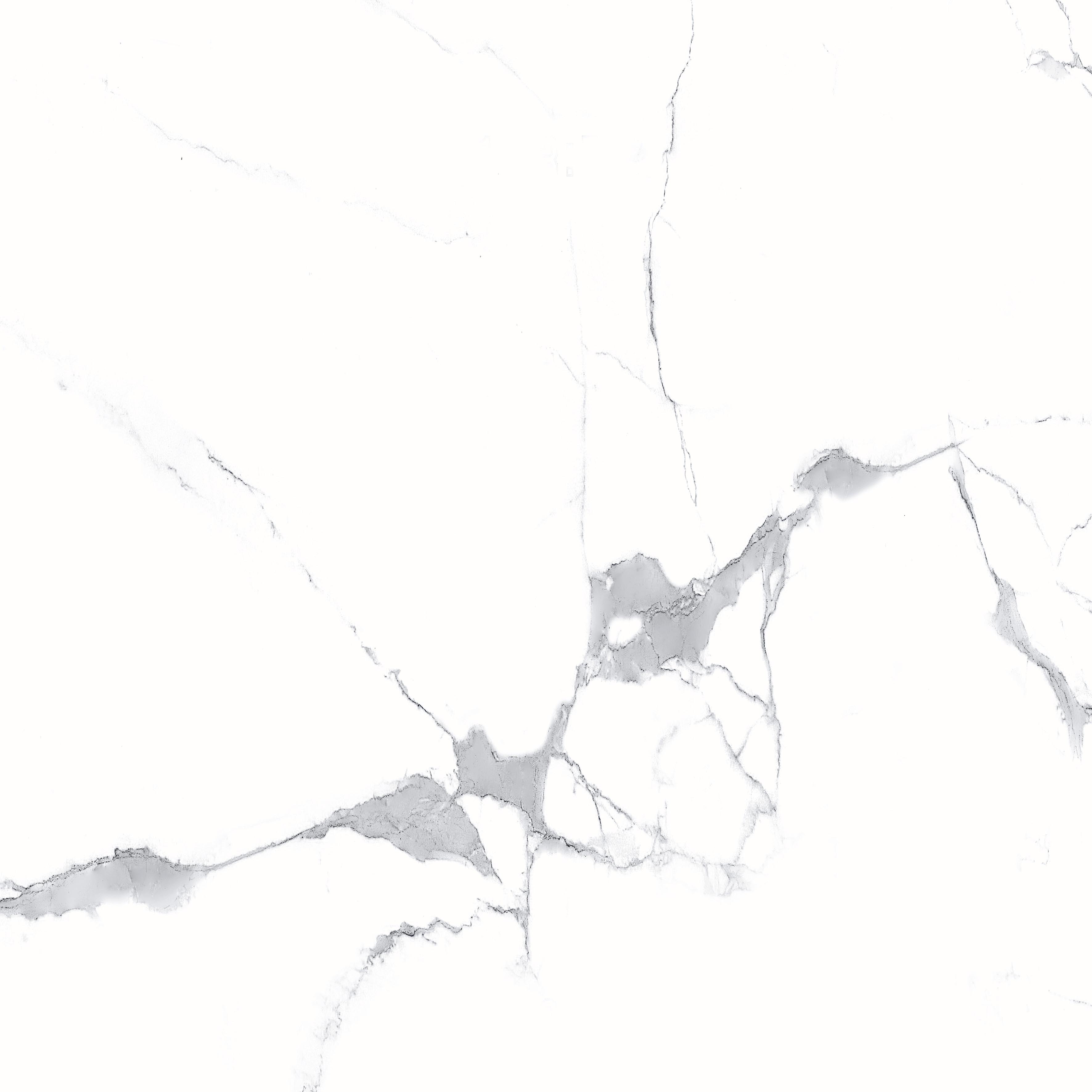 Megnus Statuario Glossy 60x60 Modern Tile