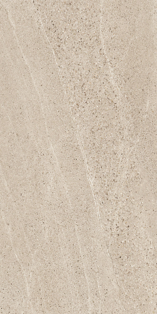 Vintage Beige Matt 60x120 Modern Tile