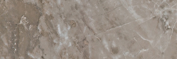 240036 MARBLE GRIGIO ONICE RETTIFICATO LAPPATO 19,5x58,5 Versace (Gardenia Orchidea)