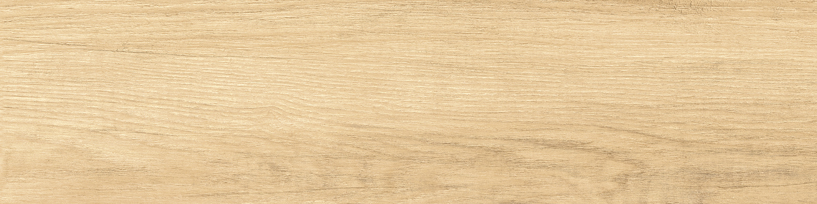 GP1560SAB11 Sunbau Oak Sugar 151x602 New Trend