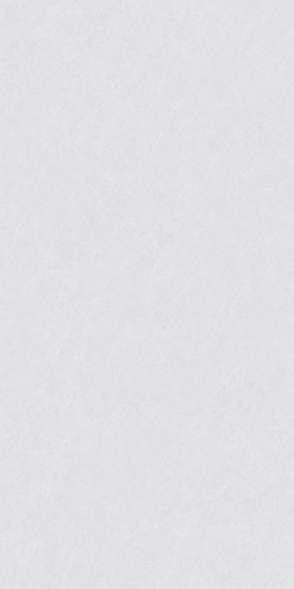 ZA-L12502 Пепел Матовый 1200x600x9 Vizavi