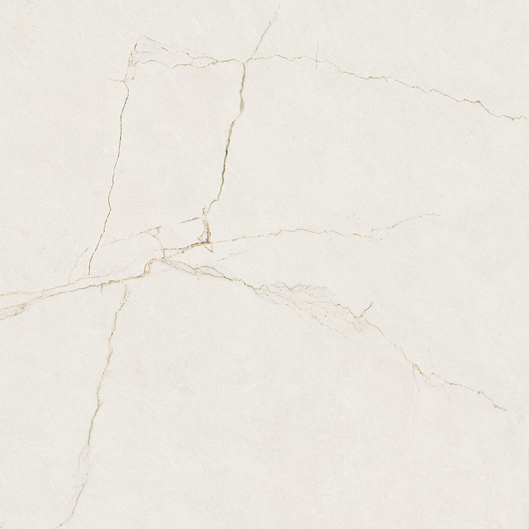 004.002.0108.16513 Pol Velhira White Rect 120x120 Pamesa