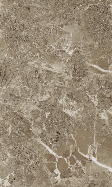 Saloni brown 02 30*50 Gracia Ceramica