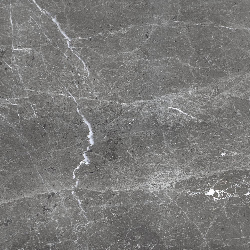 PR108 Ardesia Grafito Polished 600x600 PrimaVera