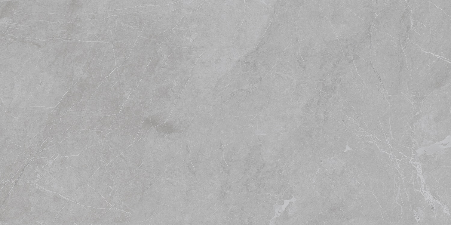 Barcelona Light Grey Matt 5мм 60x120 Staro