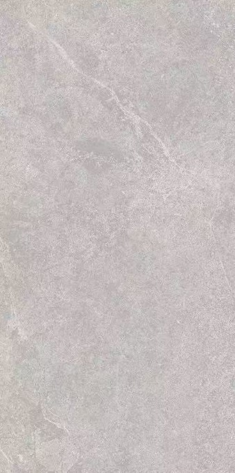Santiago Matt 60x120 Realistik фото 2