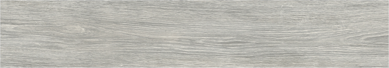 Eleganza Silver Rectificado 20x114 Baldocer