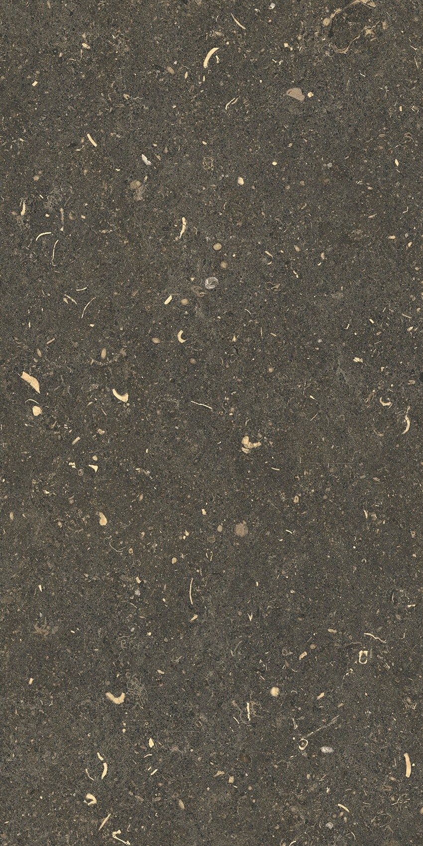 785503 Rinascenza Arena Platino Grip 30x60 Casa Dolce Casa фото 2