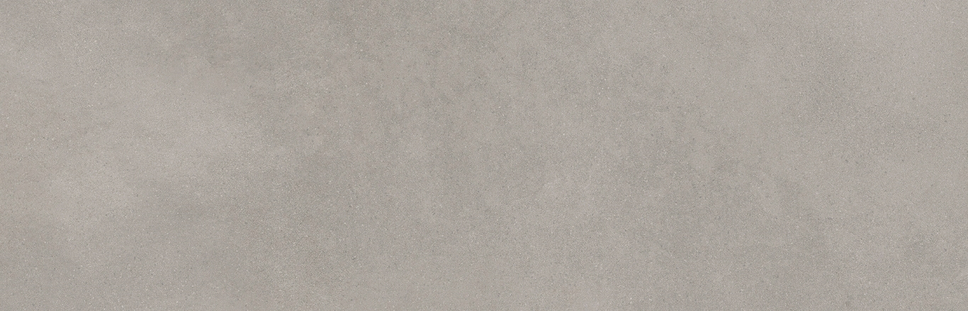 Mediterranea Gris R 31,5x100 Undefasa