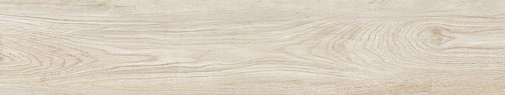 189003 Quercus Betulla 22x120 Dune