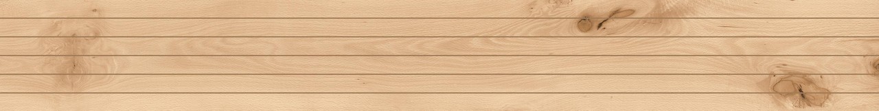 AX9T Log Cansei Rialto Riga 18,5x150 Atlas Concorde