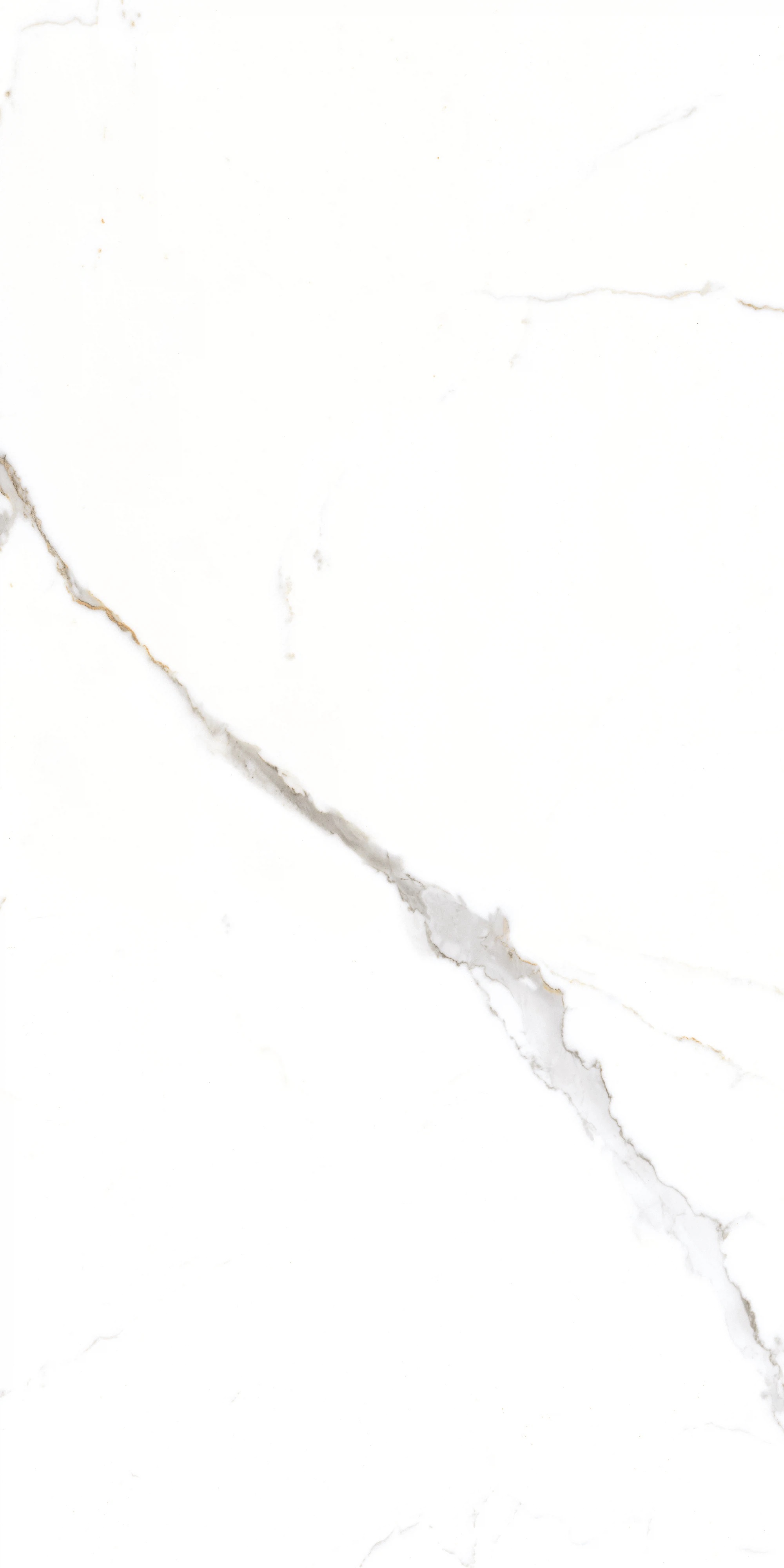 GT1206015103PR Corus Белый полированный 60x120 Global Tile