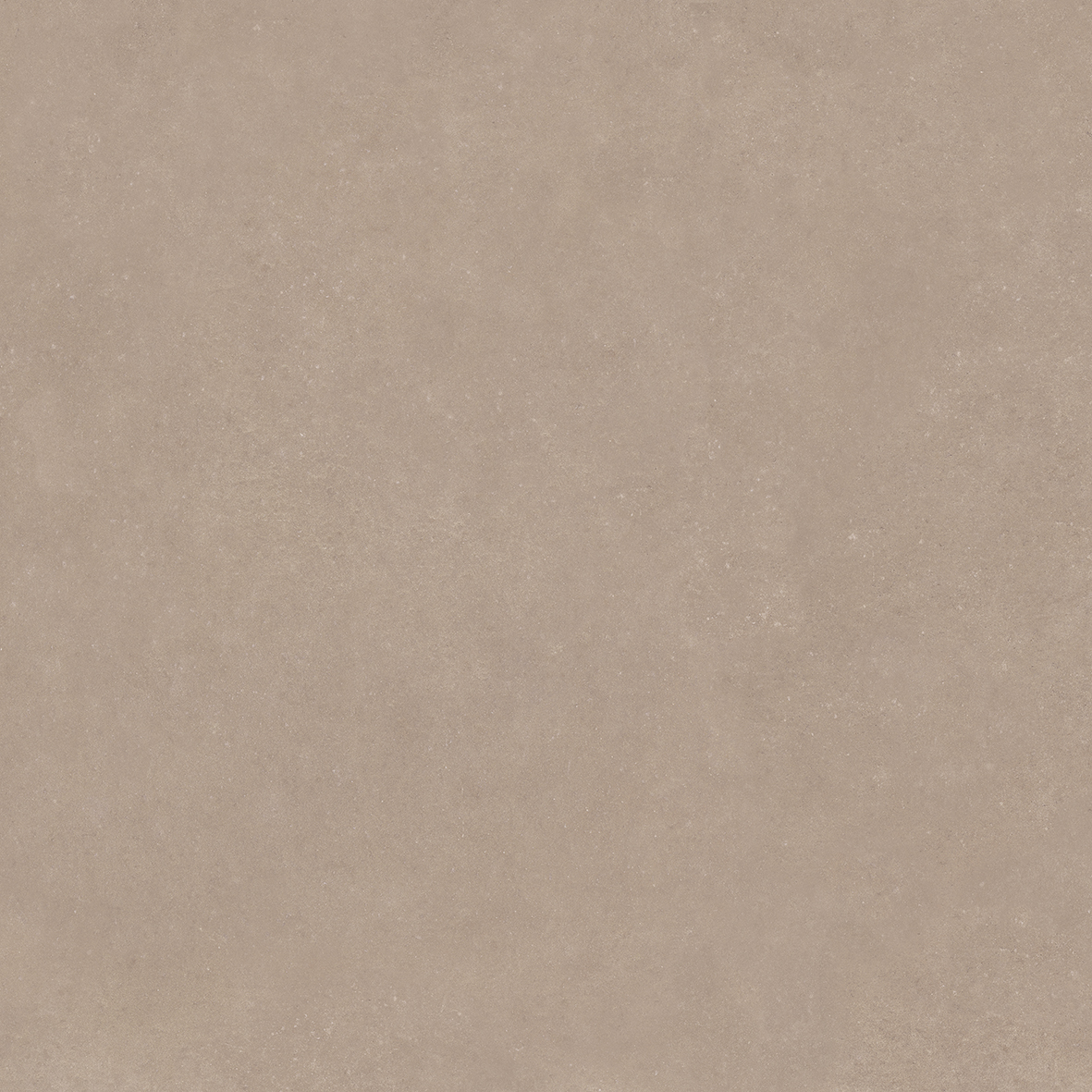 4101182 Nok Taupe 120x120 41ZERO42