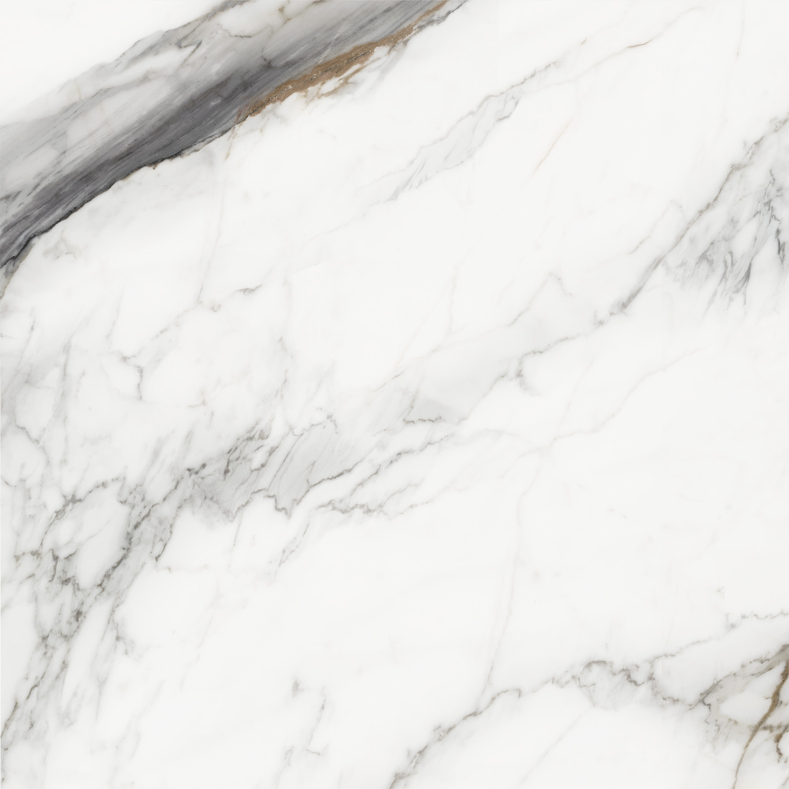 D60208M Carrara Cersei карвинг 600x600x9.5 Delacora