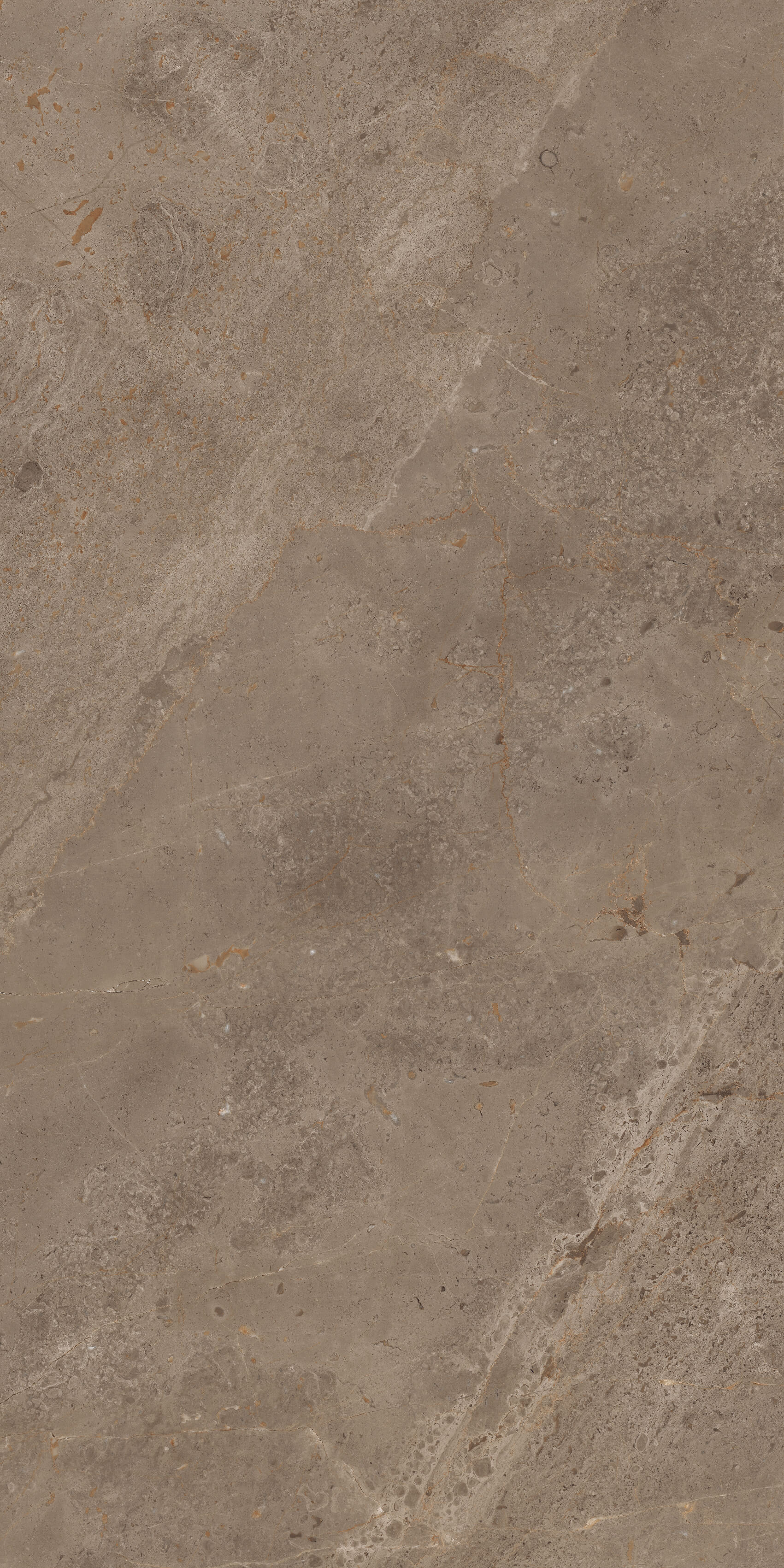 914 Luish Brown 120x60 Artcer