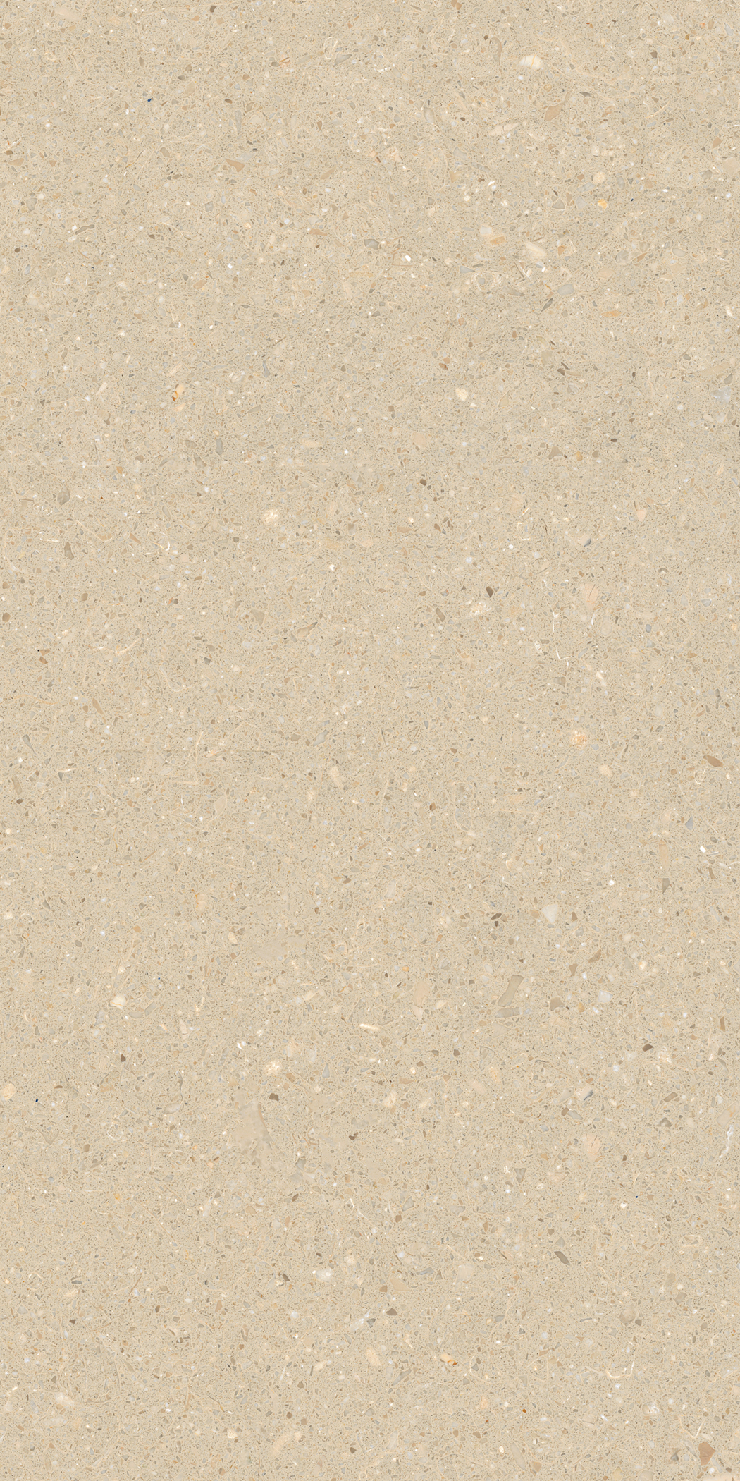 Венециан Террацо Грис Бейс Люкс Матт 60х120 Duna фото 5