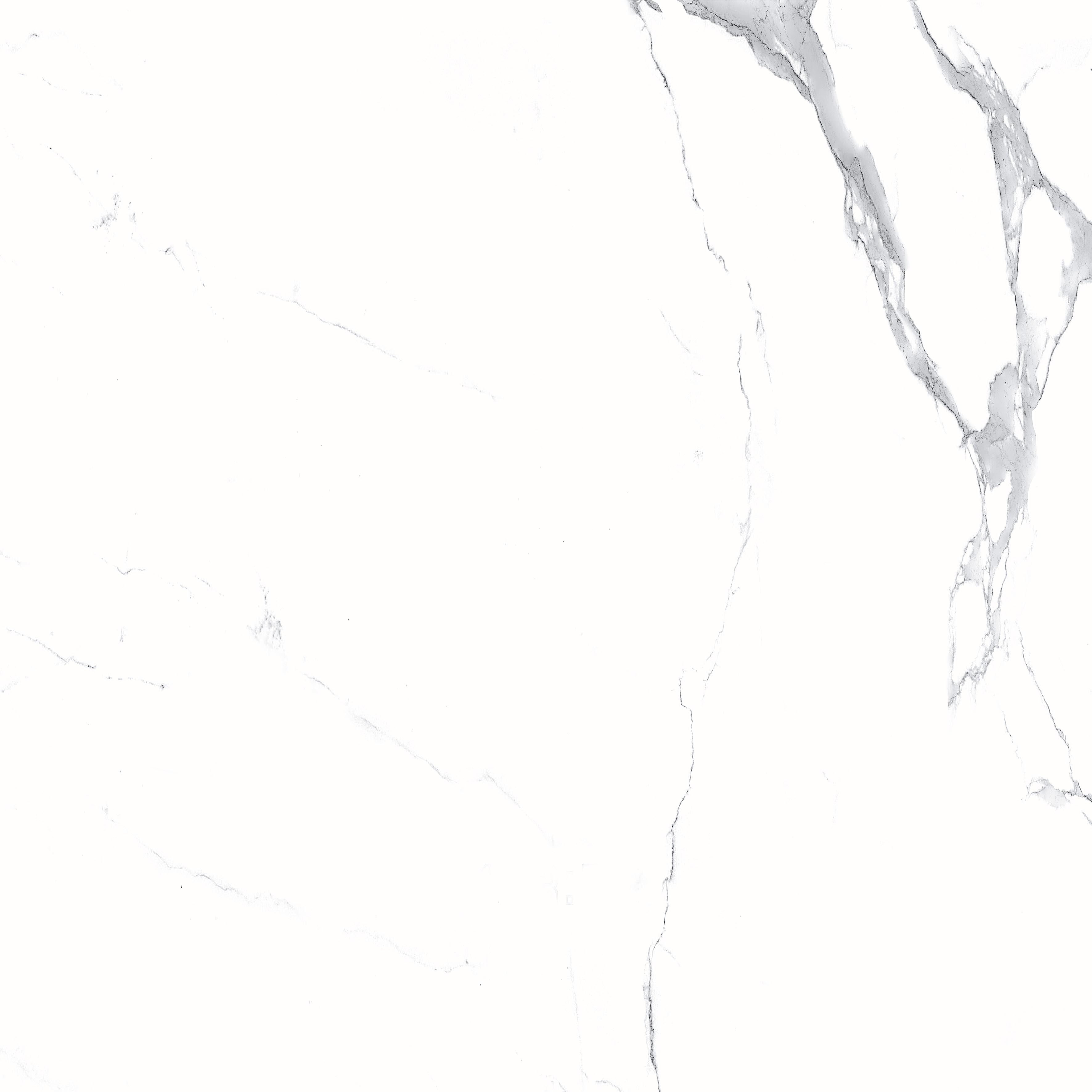 Megnus Statuario Glossy 60x60 Modern Tile