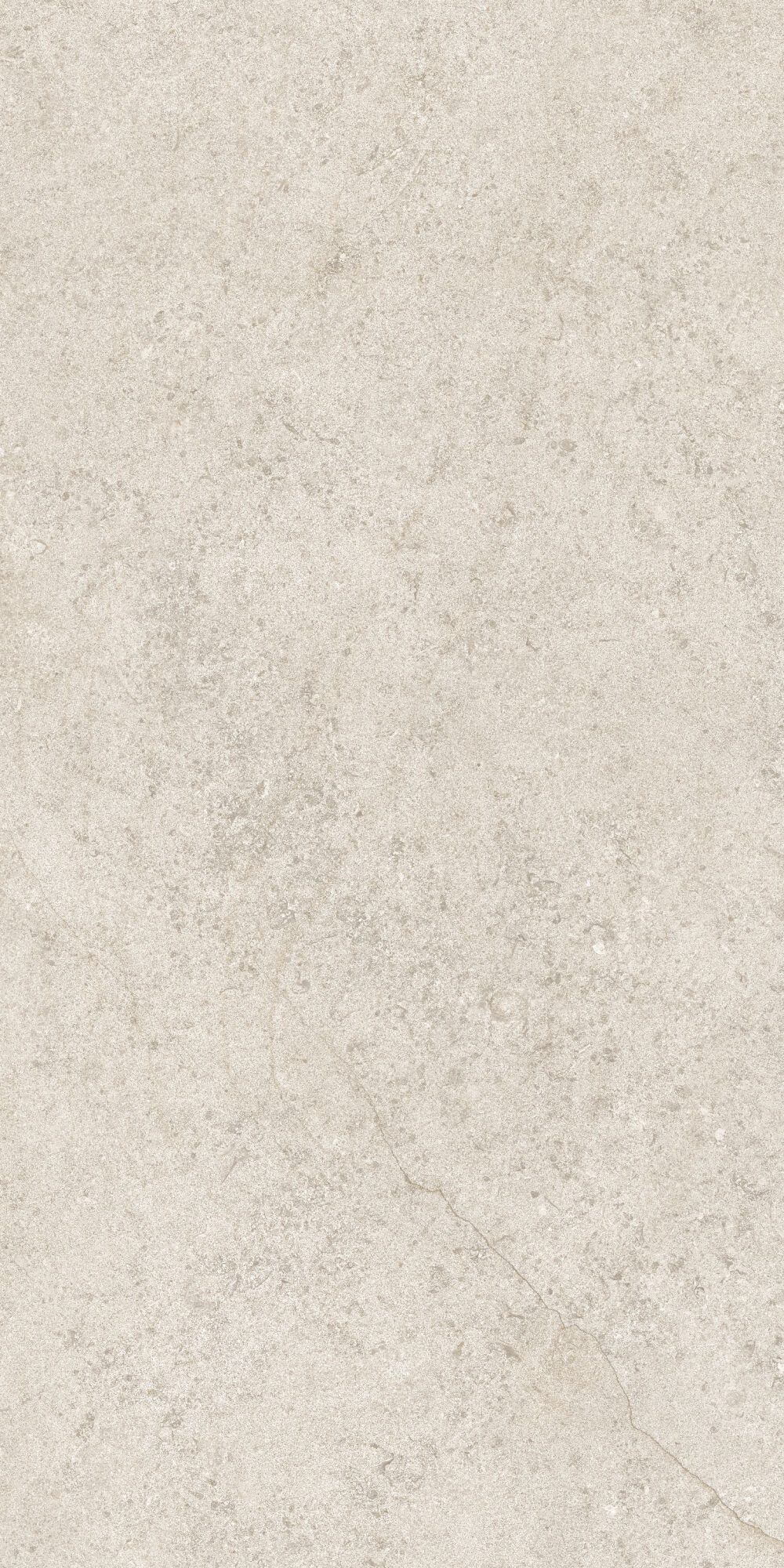 36902 Cluny Beige 4D/50X100X2/A/R 50x100 Peronda фото 12