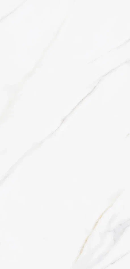 Muscat Silky Matt 60x120 Realistik фото 5