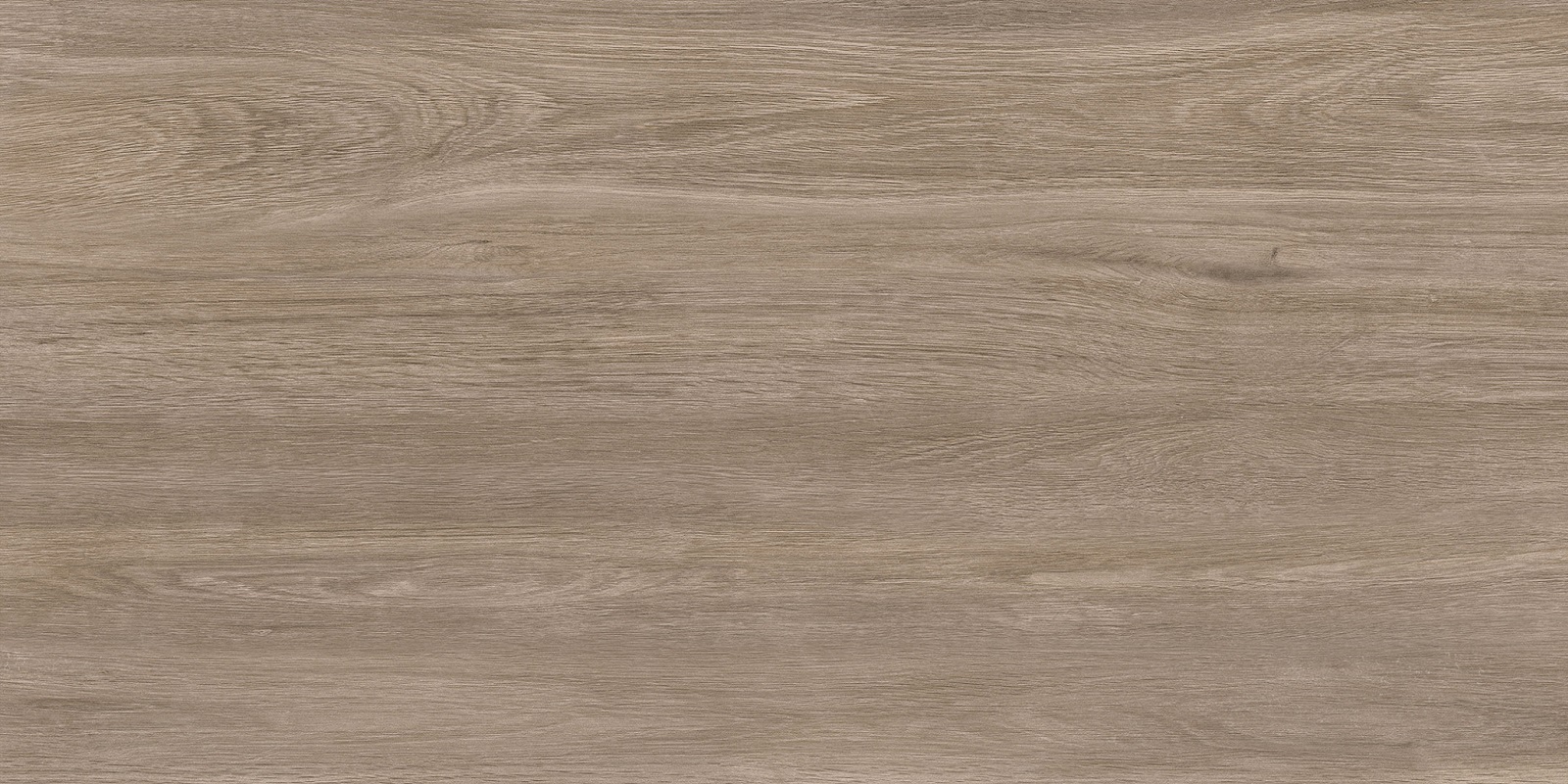 71942 Florida Cream Matt 20mm 60x120 Persepolis Tile