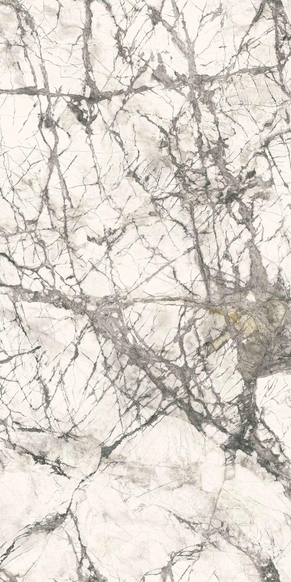 L315485MF6 Calacatta Grey Luc 150x300 IRIS FMG