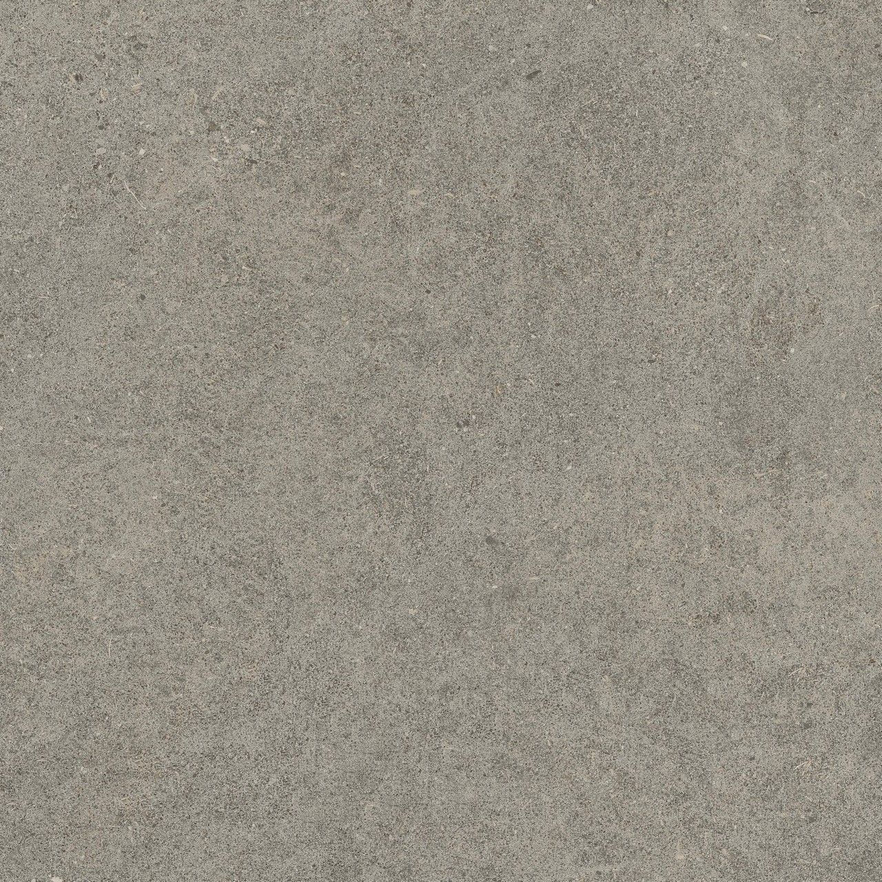 610010005836 Forte dei Marmi Rock Lunar Grey Lastra 20mm 60x60 Atlas Concorde Russia