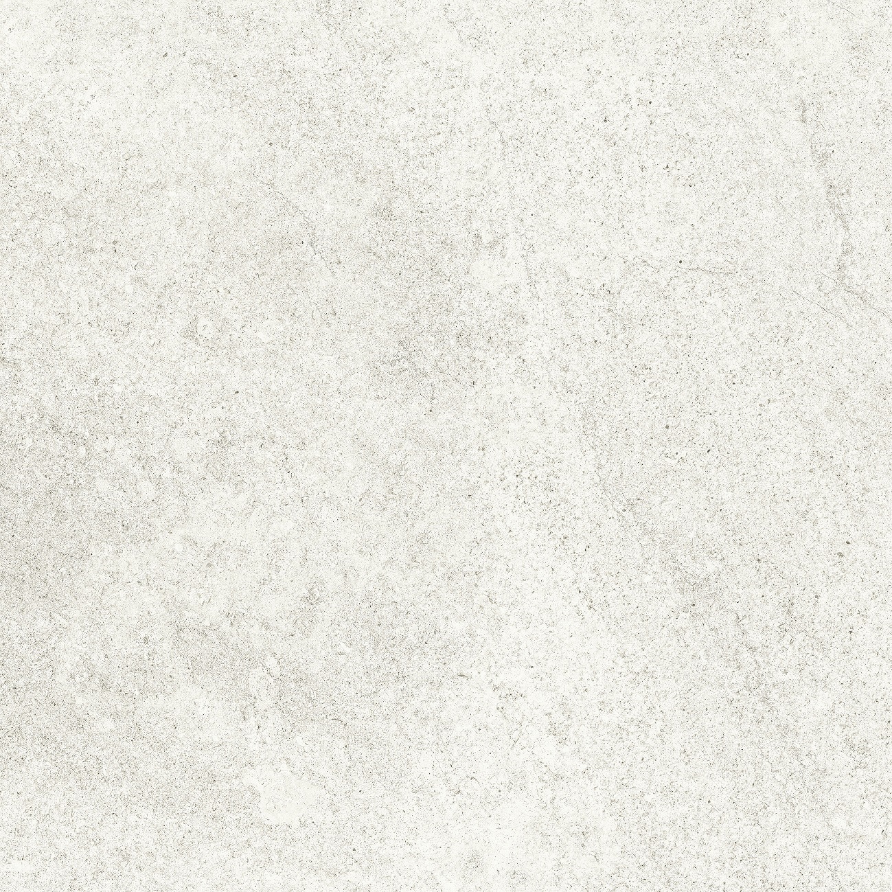 N4BA0NSNA2G1MJ Aspen Light Gray Matt Rect 60x60 Goldis Tile