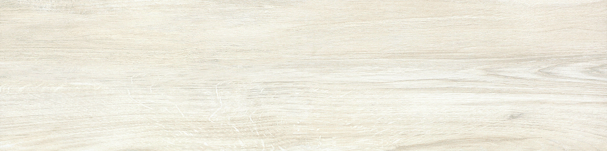 FI 10 Plus Bianco 20х80 Del Conca