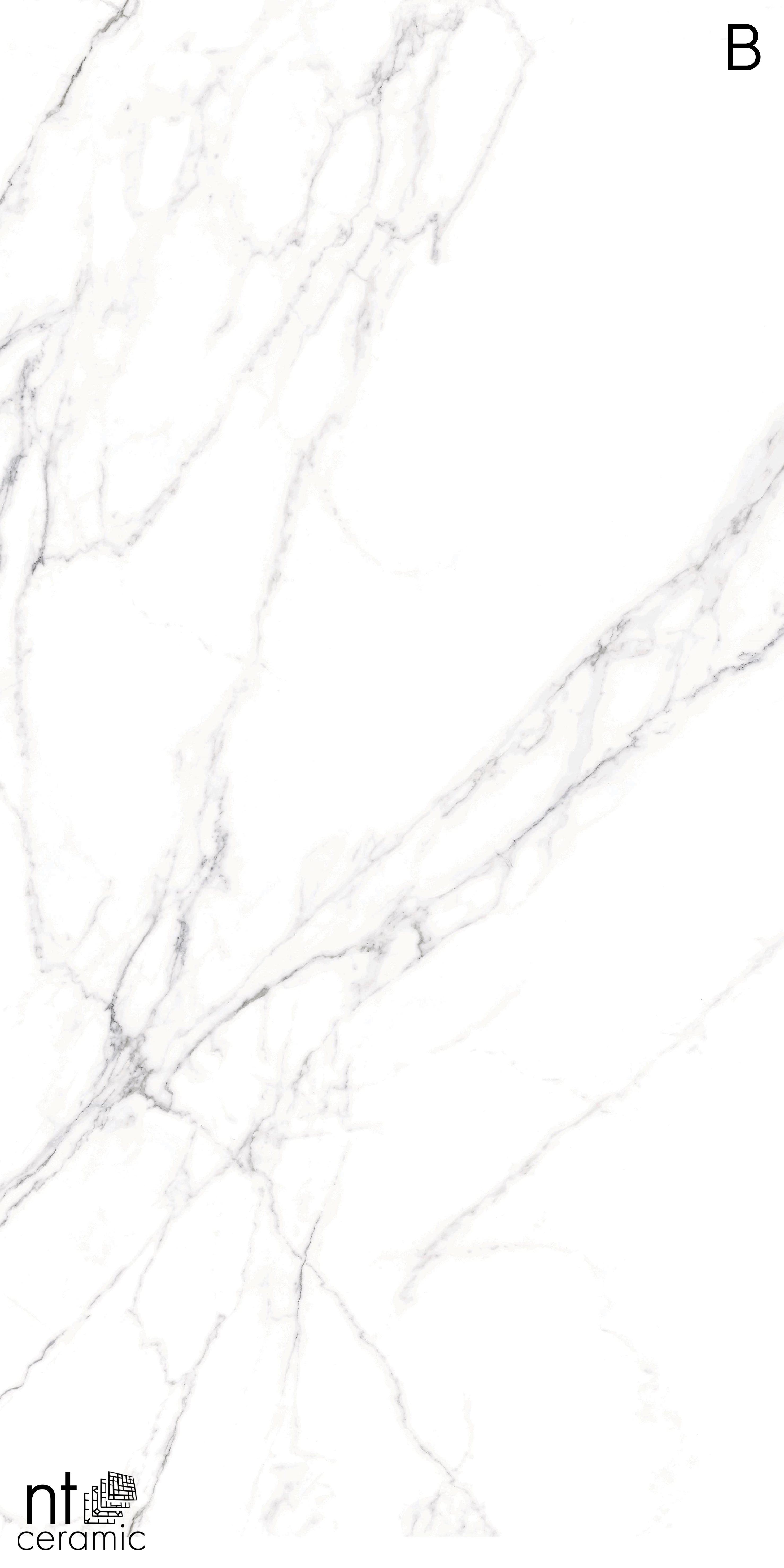 NTT3506L Calacatta Light 120x270 NT Ceramic