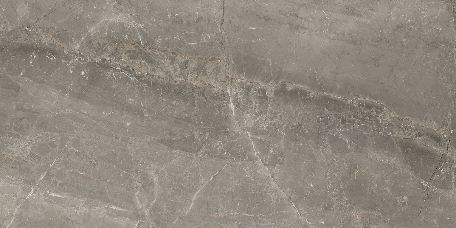 83346 Sybil Silver Levigato 60x120 Cerdomus фото 3
