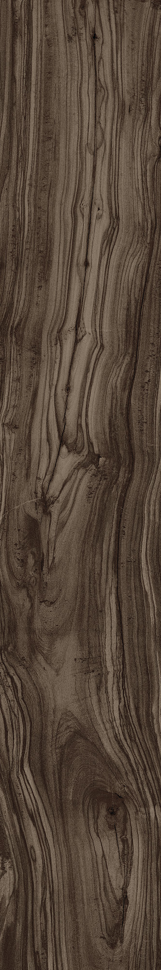CW-CR01-B Pearsian Wood Charcoal Carving 20x120 Creanza