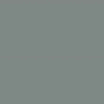 IL20MUS Italian Landscape Muschio 20.5x20.5 Fioranesе