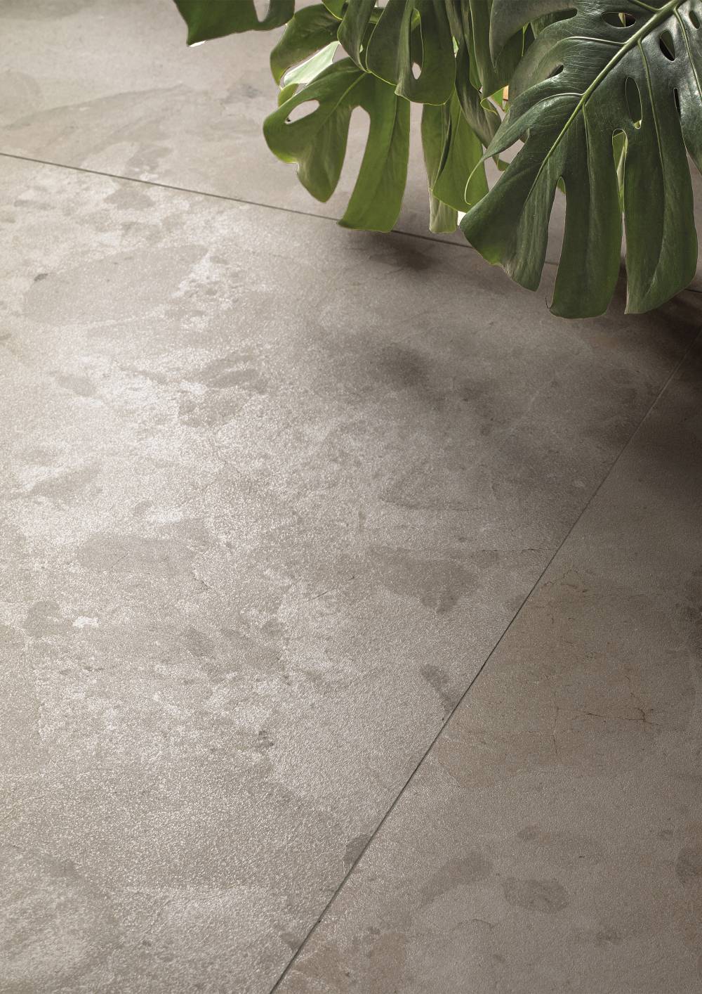 Moon Refin фото 2