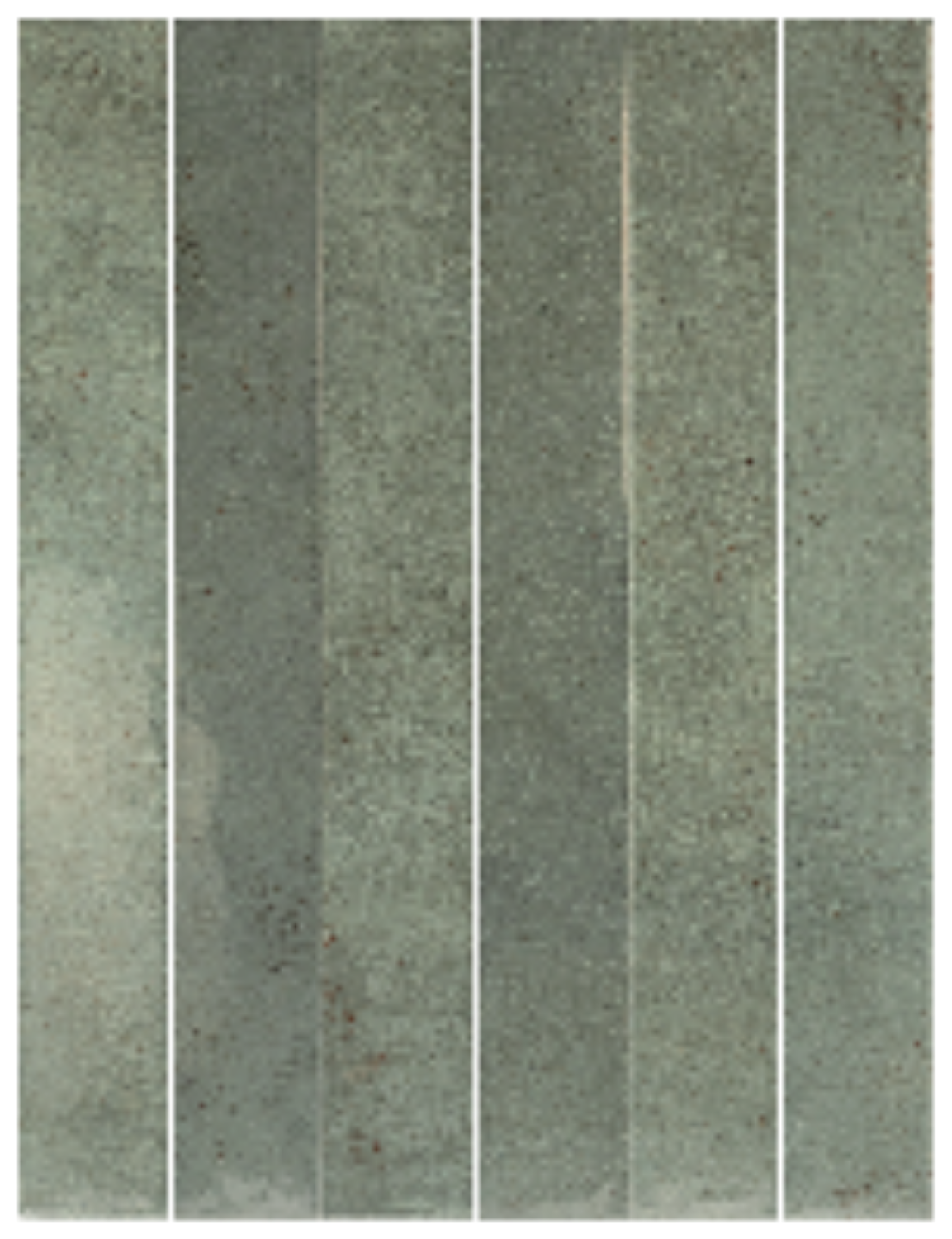 31928 Verticale Oakmoss 5x40 EQUIPE